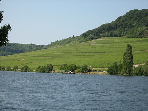 Moselle Valley